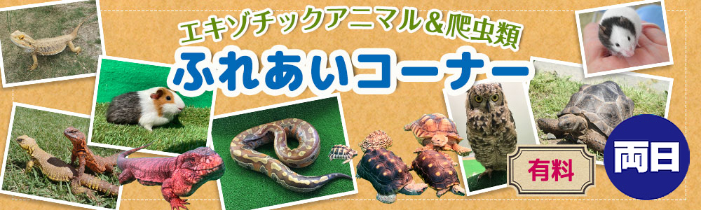 ふれあいコーナー