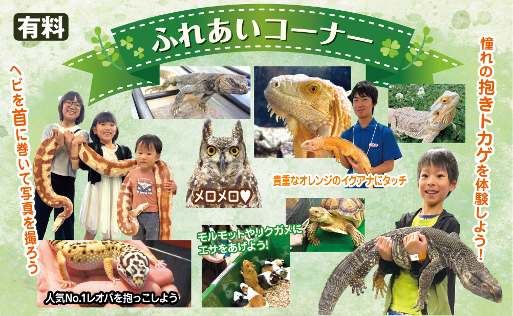 ふれあいコーナー仙台レプタイルズワールド