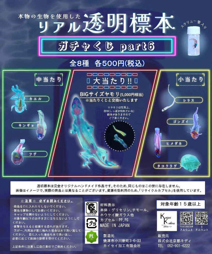 リアル透明標本ガチャくじpart6