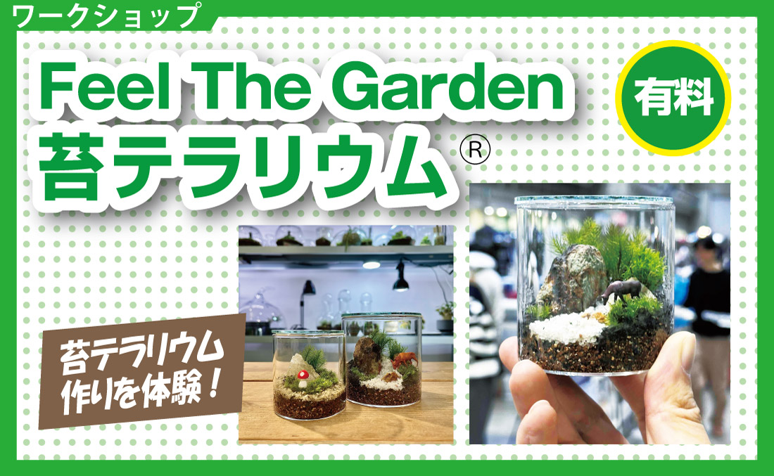 苔テラリウムワークショップ