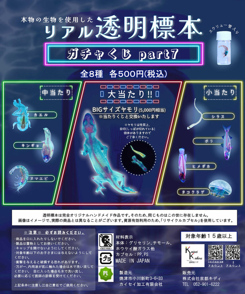 リアル透明標本part7