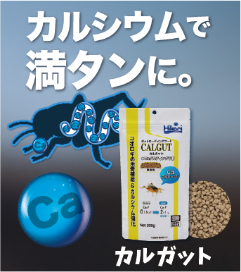 カルガット｜カルシウムで満タンに。